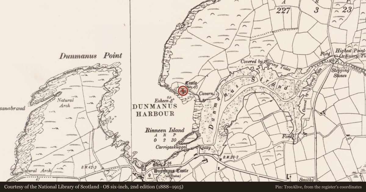 Ordnance Survey six-inch map, 2nd edition (1888–1915) covering the location of Castle - unclassified, Knockeens (Carbery West (W.D) By., Skull Par.), County Cork, with a pin at the register's coordinates