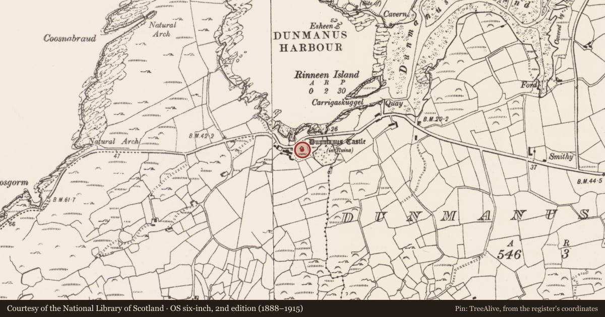 Ordnance Survey six-inch map, 2nd edition (1888–1915) covering the location of Castle - tower house, Dunmanus West, County Cork, with a pin at the register's coordinates