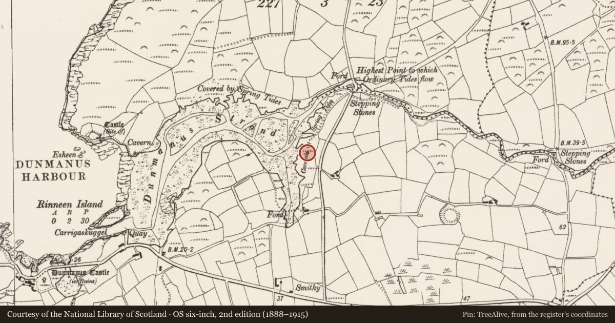 Ordnance Survey six-inch map, 2nd edition (1888–1915) covering the location of Boulder-burial, Dunmanus East, County Cork, with a pin at the register's coordinates