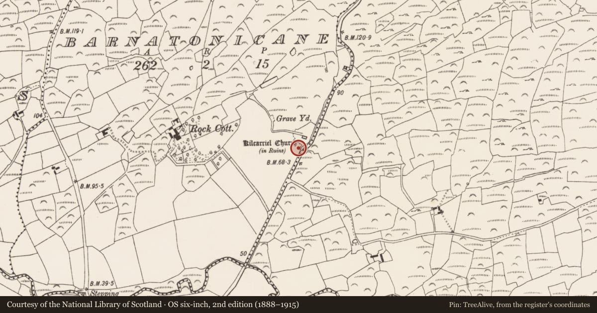 Ordnance Survey six-inch map, 2nd edition (1888–1915) covering the location of Bullaun stone, Barnatonicane, County Cork, with a pin at the register's coordinates