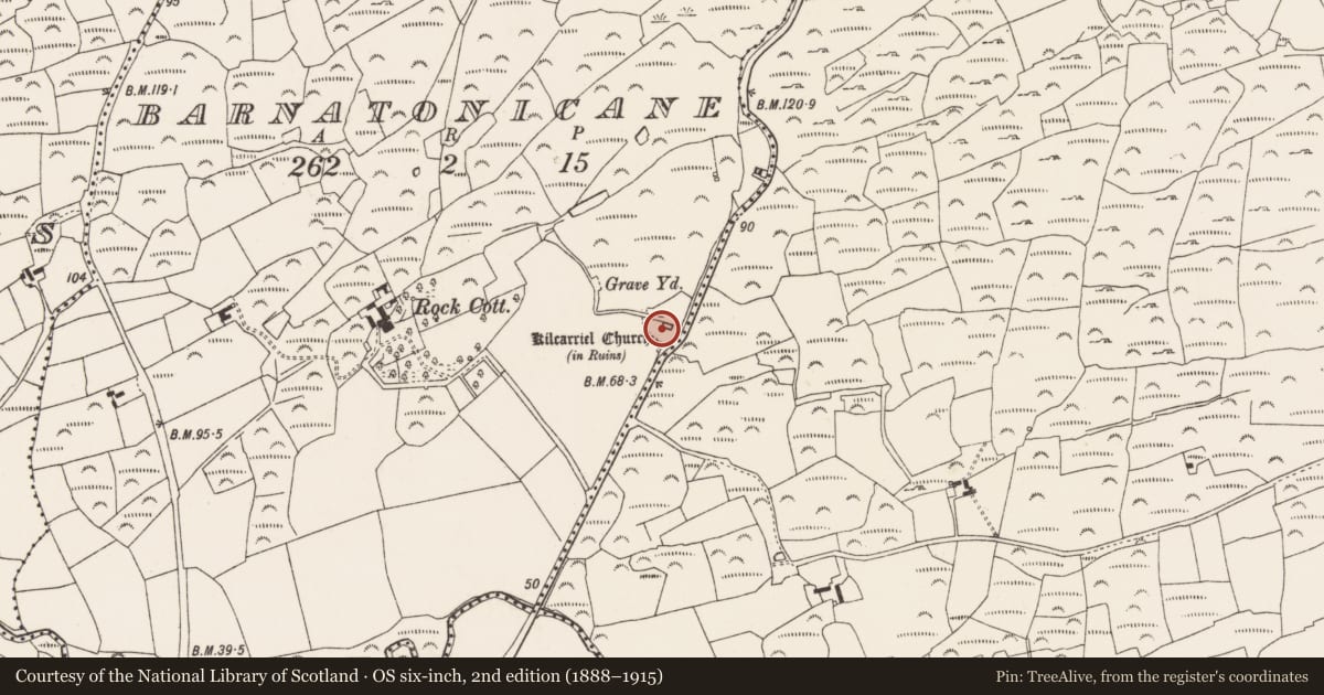 Ordnance Survey six-inch map, 2nd edition (1888–1915) covering the location of Church, Barnatonicane, County Cork, with a pin at the register's coordinates