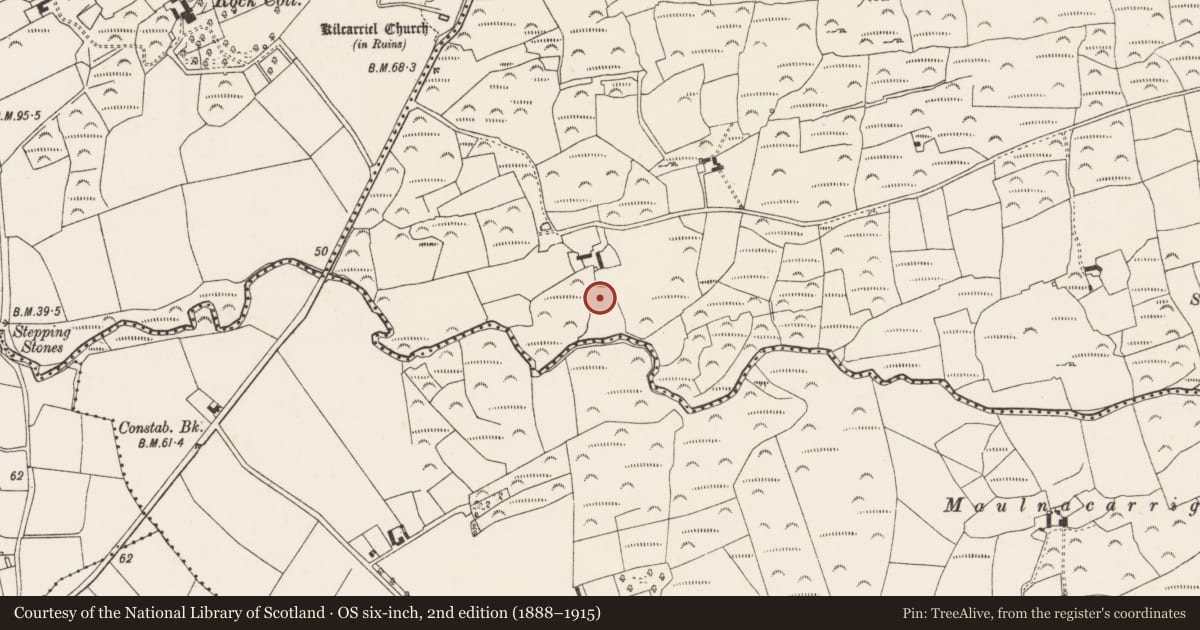 Ordnance Survey six-inch map, 2nd edition (1888–1915) covering the location of Souterrain, Ratooragh, County Cork, with a pin at the register's coordinates