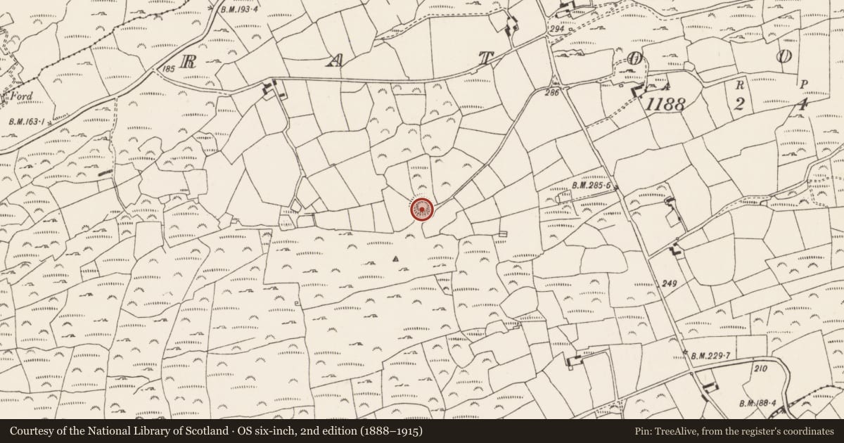 Ordnance Survey six-inch map, 2nd edition (1888–1915) covering the location of Ringfort - rath, Ratooragh, County Cork, with a pin at the register's coordinates