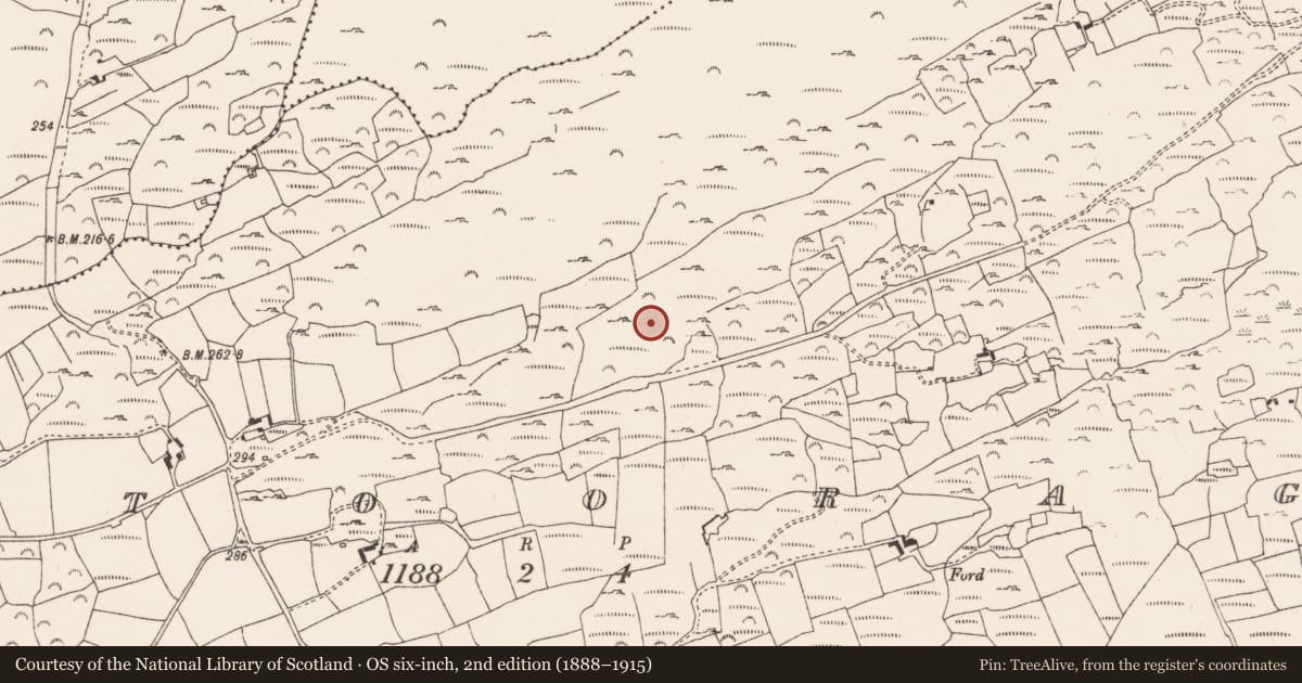 Ordnance Survey six-inch map, 2nd edition (1888–1915) covering the location of Megalithic tomb - wedge tomb, Ratooragh, County Cork, with a pin at the register's coordinates