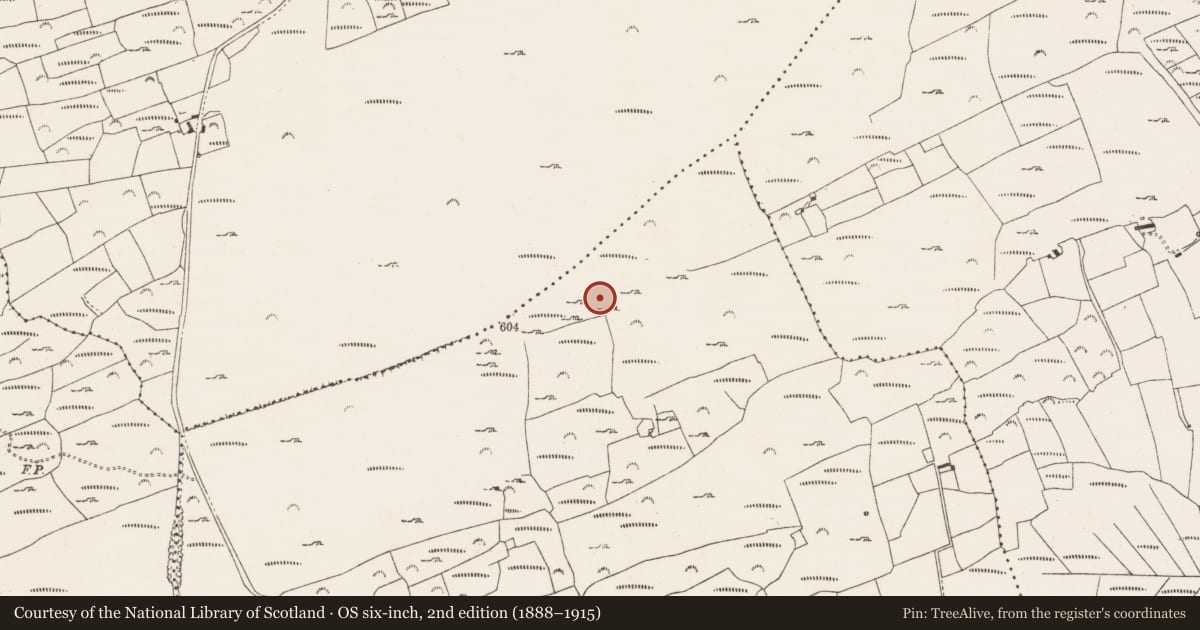 Ordnance Survey six-inch map, 2nd edition (1888–1915) covering the location of Megalithic tomb - unclassified, Gubbeen, County Cork, with a pin at the register's coordinates