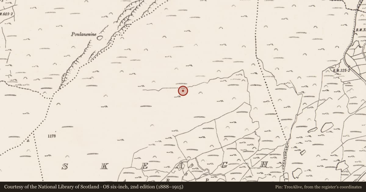 Ordnance Survey six-inch map, 2nd edition (1888–1915) covering the location of Mining complex, Skeagh, County Cork, with a pin at the register's coordinates
