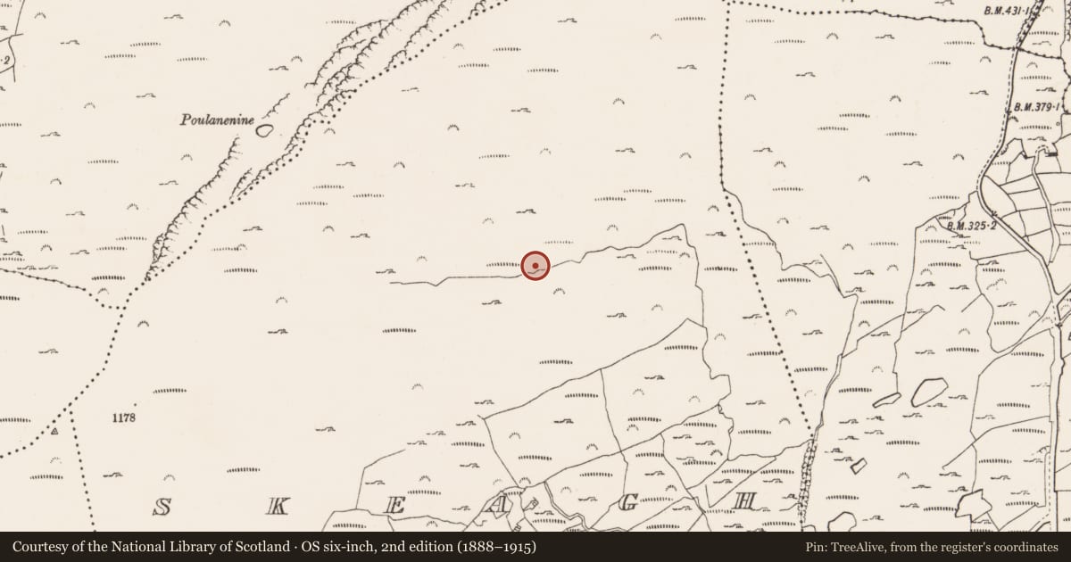 Ordnance Survey six-inch map, 2nd edition (1888–1915) covering the location of Mine - copper, Skeagh, County Cork, with a pin at the register's coordinates