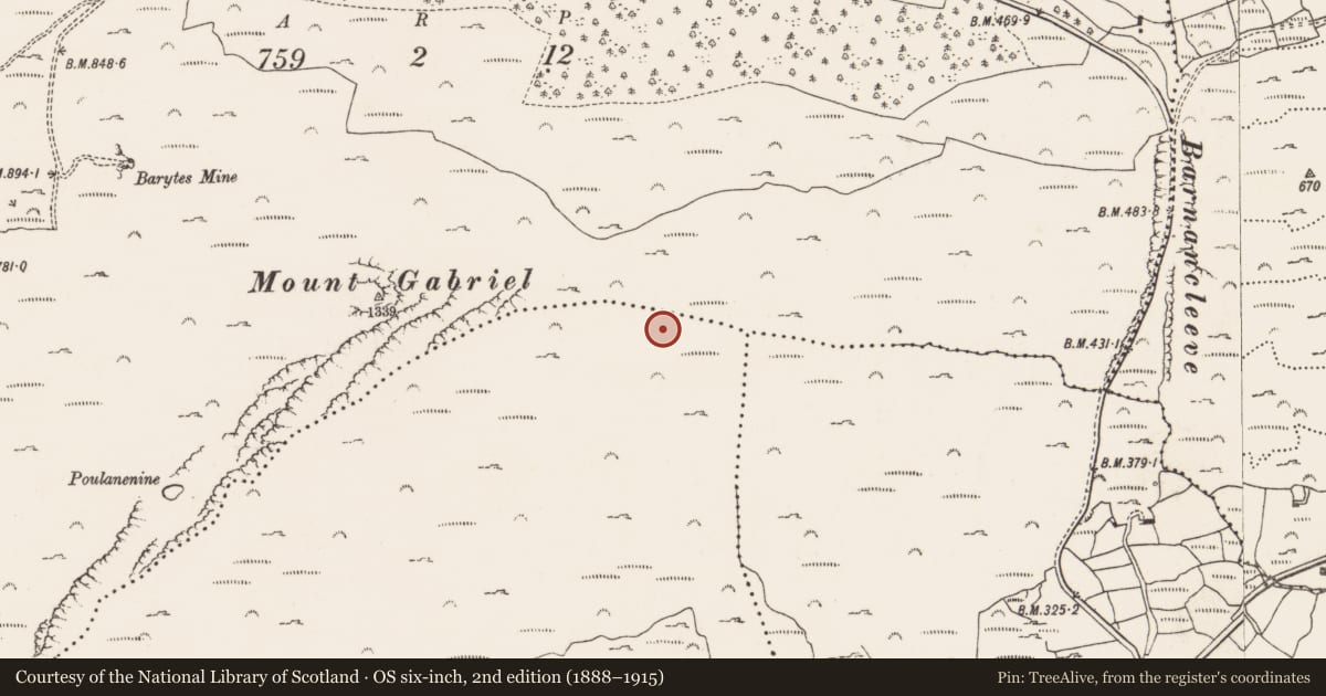 Ordnance Survey six-inch map, 2nd edition (1888–1915) covering the location of Mine - copper, Skeagh, County Cork, with a pin at the register's coordinates