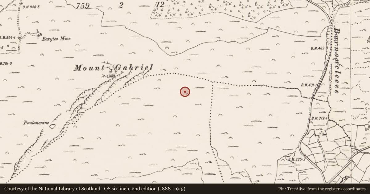 Ordnance Survey six-inch map, 2nd edition (1888–1915) covering the location of Mine - copper, Skeagh, County Cork, with a pin at the register's coordinates