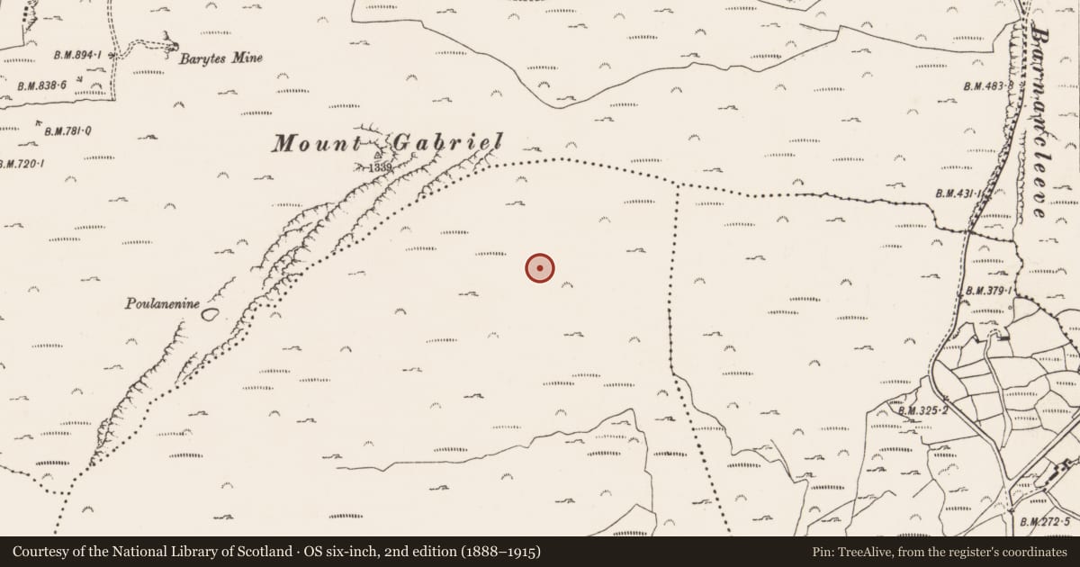 Ordnance Survey six-inch map, 2nd edition (1888–1915) covering the location of Mine - copper, Skeagh, County Cork, with a pin at the register's coordinates