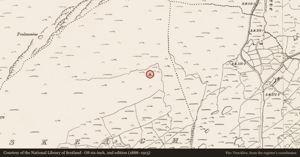 Ordnance Survey six-inch map, 2nd edition (1888–1915) covering the location of Mine - copper, Skeagh, County Cork, with a pin at the register's coordinates