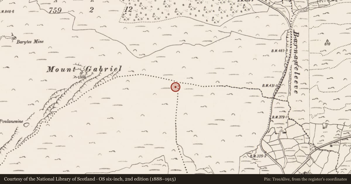 Ordnance Survey six-inch map, 2nd edition (1888–1915) covering the location of Mine - copper, Skeagh, County Cork, with a pin at the register's coordinates