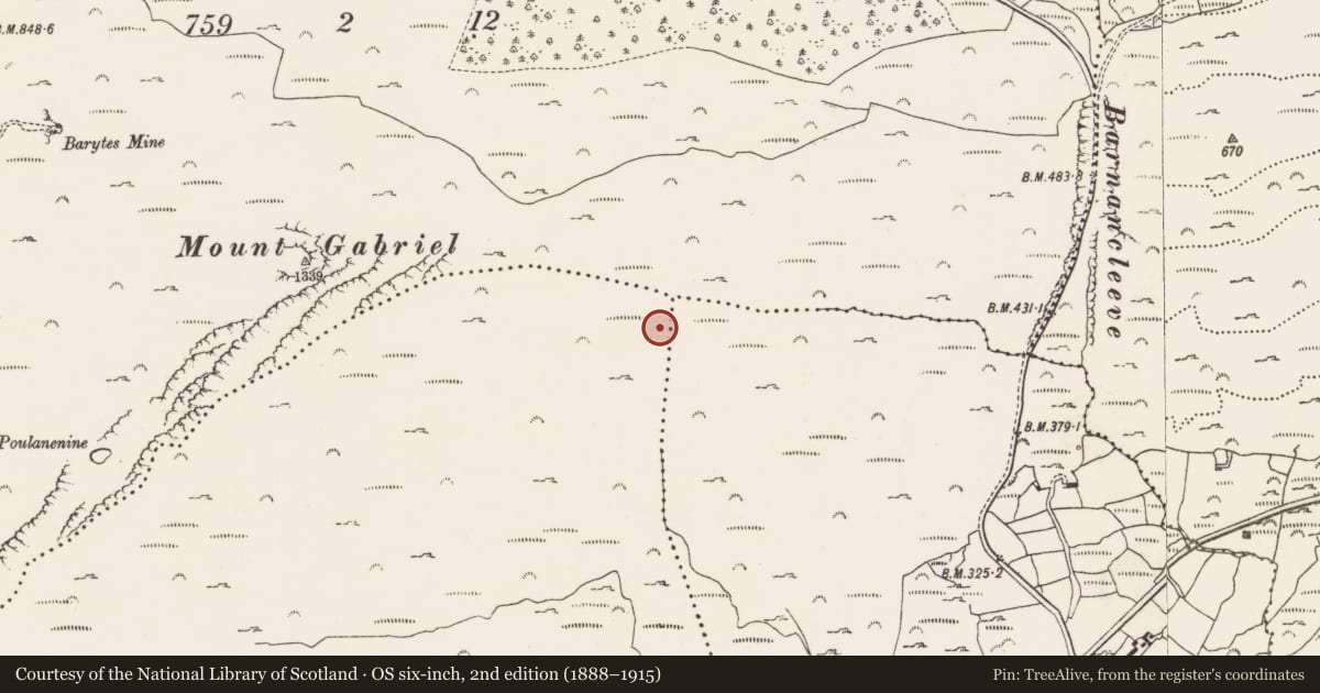 Ordnance Survey six-inch map, 2nd edition (1888–1915) covering the location of Mine - copper, Skeagh, County Cork, with a pin at the register's coordinates