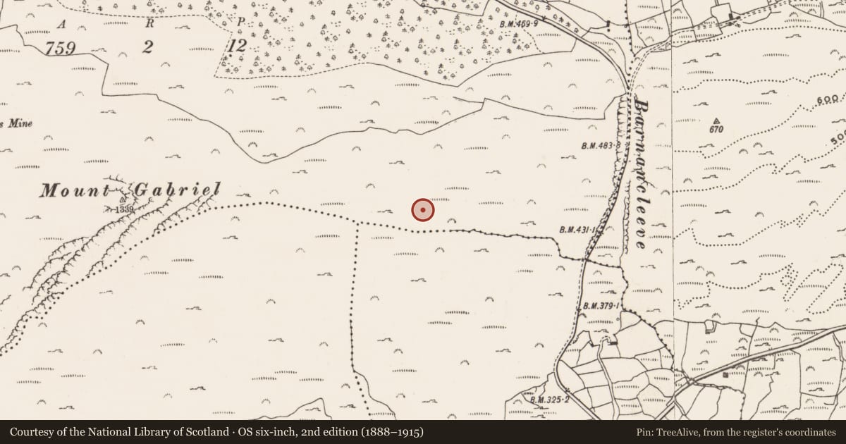 Ordnance Survey six-inch map, 2nd edition (1888–1915) covering the location of Mine - copper, Mountgabriel, County Cork, with a pin at the register's coordinates