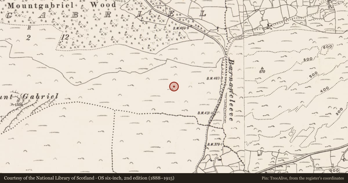 Ordnance Survey six-inch map, 2nd edition (1888–1915) covering the location of Mine - copper, Mountgabriel, County Cork, with a pin at the register's coordinates