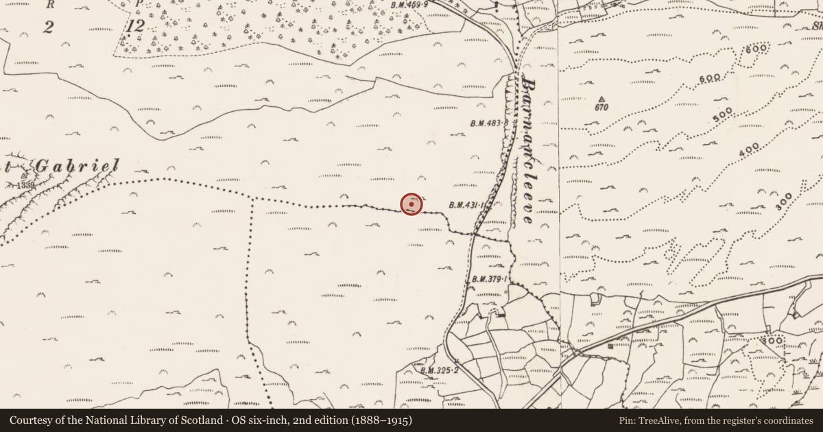 Ordnance Survey six-inch map, 2nd edition (1888–1915) covering the location of Mine - copper, Mountgabriel, County Cork, with a pin at the register's coordinates