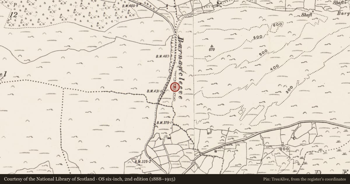 Ordnance Survey six-inch map, 2nd edition (1888–1915) covering the location of Mine - copper, Letter (Carbery West (W.D) By., Skull Par.), County Cork, with a pin at the register's coordinates