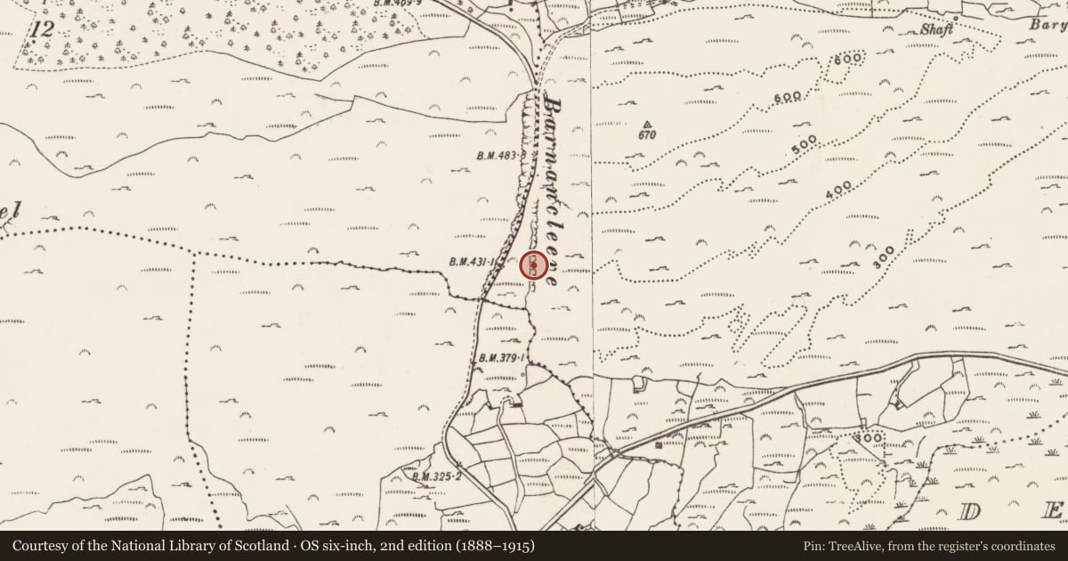 Ordnance Survey six-inch map, 2nd edition (1888–1915) covering the location of Mine - copper, Letter (Carbery West (W.D) By., Skull Par.), County Cork, with a pin at the register's coordinates