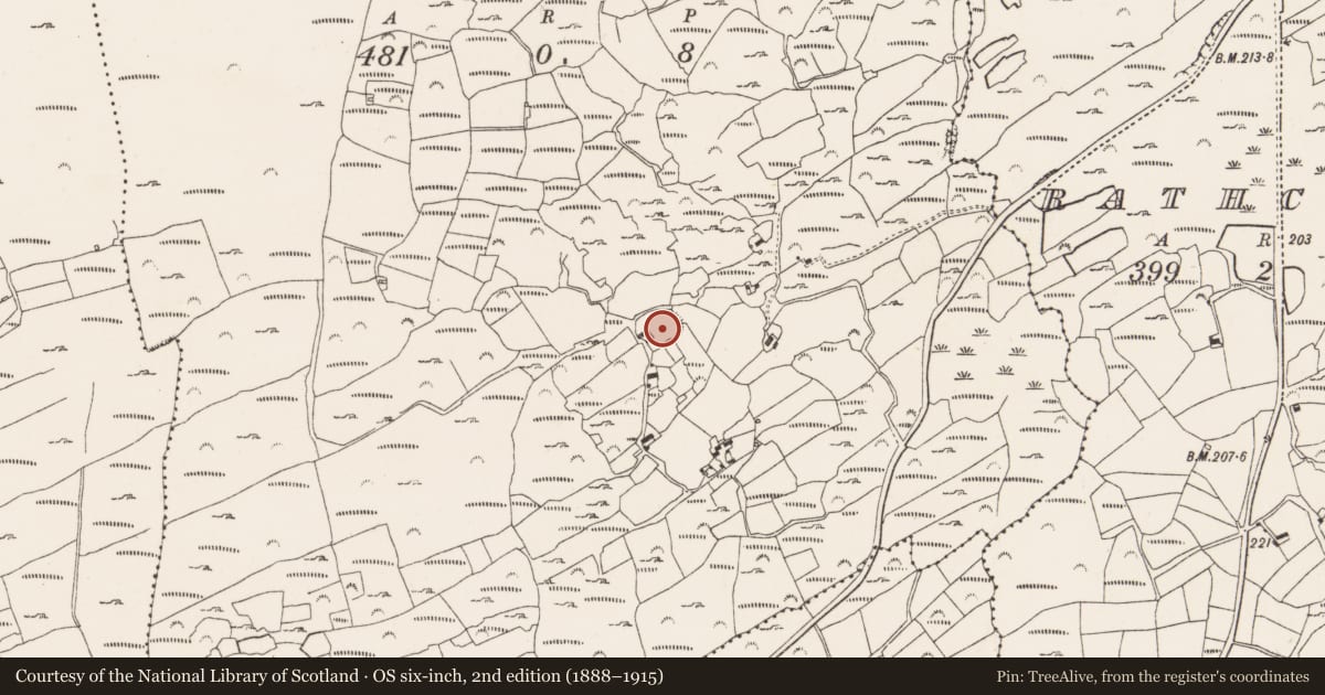 Ordnance Survey six-inch map, 2nd edition (1888–1915) covering the location of Enclosure, Skeagh, County Cork, with a pin at the register's coordinates
