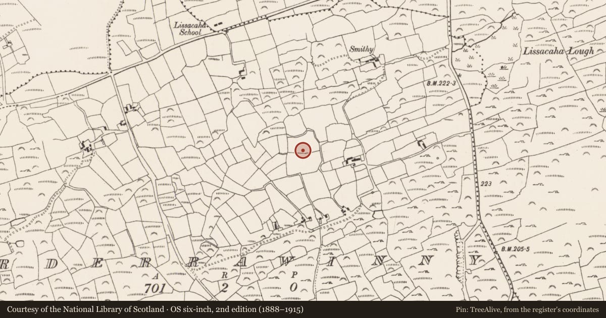 Ordnance Survey six-inch map, 2nd edition (1888–1915) covering the location of Standing stone, Arderrawinny, County Cork, with a pin at the register's coordinates