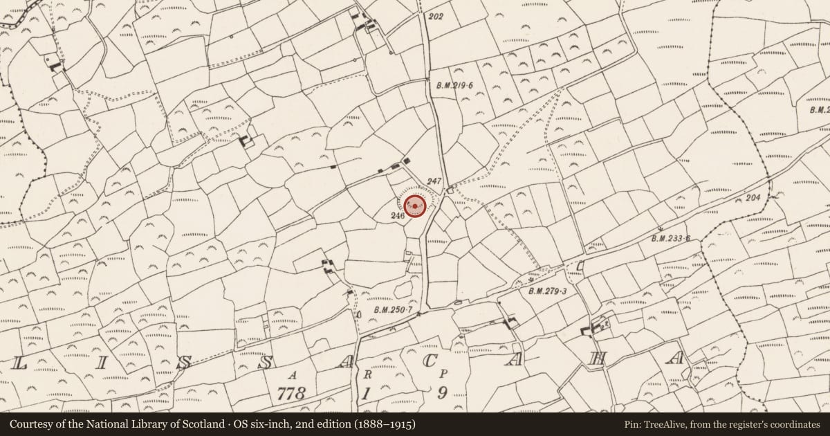Ordnance Survey six-inch map, 2nd edition (1888–1915) covering the location of Souterrain, Lissacaha, County Cork, with a pin at the register's coordinates