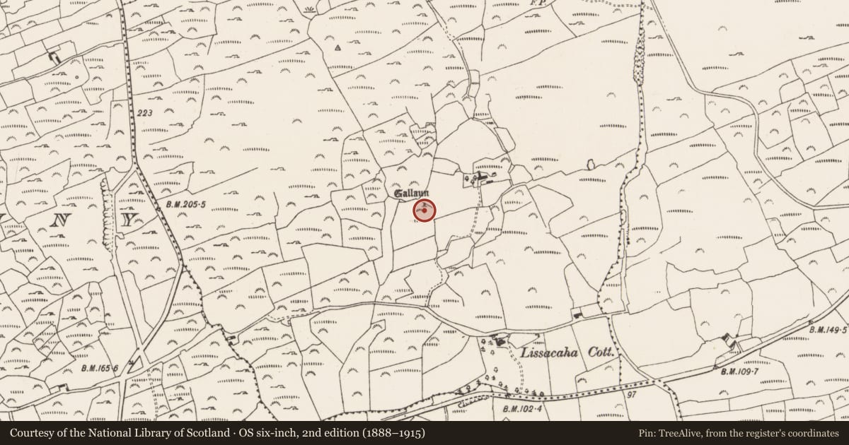 Ordnance Survey six-inch map, 2nd edition (1888–1915) covering the location of Standing stone, Lissacaha, County Cork, with a pin at the register's coordinates