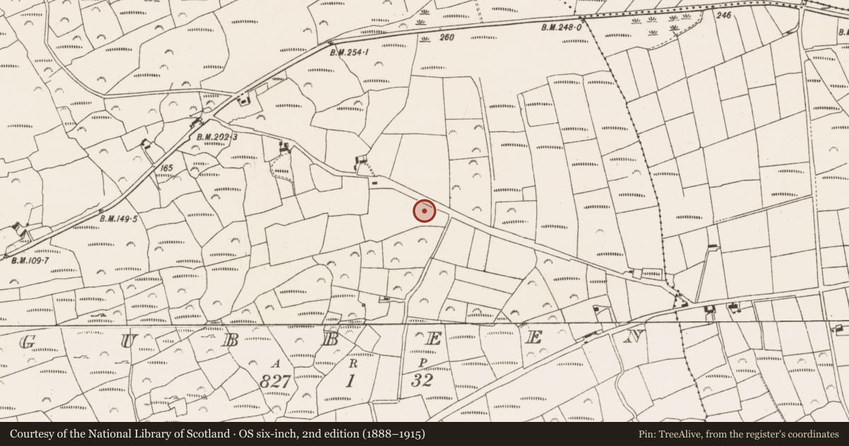 Ordnance Survey six-inch map, 2nd edition (1888–1915) covering the location of Ringfort - rath, Gubbeen, County Cork, with a pin at the register's coordinates