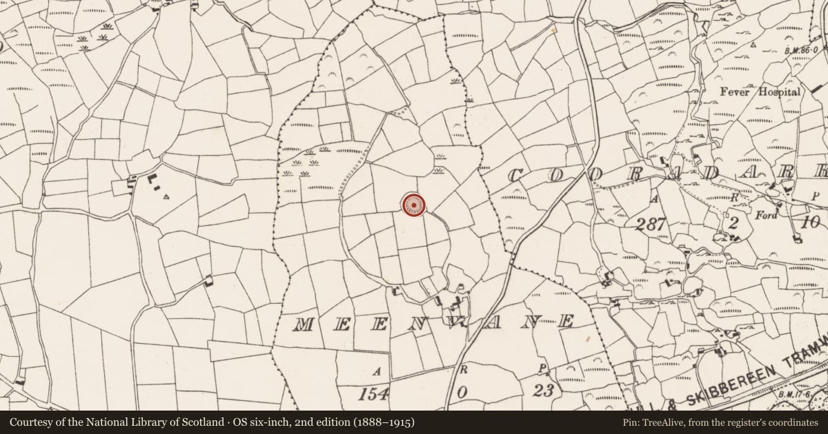 Ordnance Survey six-inch map, 2nd edition (1888–1915) covering the location of Souterrain, Meenvane, County Cork, with a pin at the register's coordinates