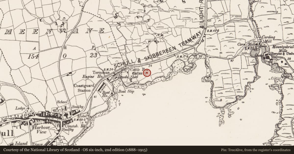 Ordnance Survey six-inch map, 2nd edition (1888–1915) covering the location of Standing stone, Cooradarrigan, County Cork, with a pin at the register's coordinates