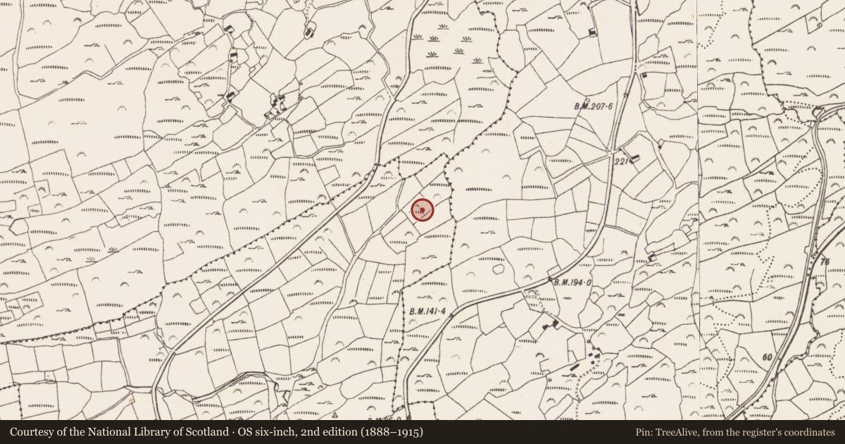 Ordnance Survey six-inch map, 2nd edition (1888–1915) covering the location of Boulder-burial, Cooradarrigan, County Cork, with a pin at the register's coordinates