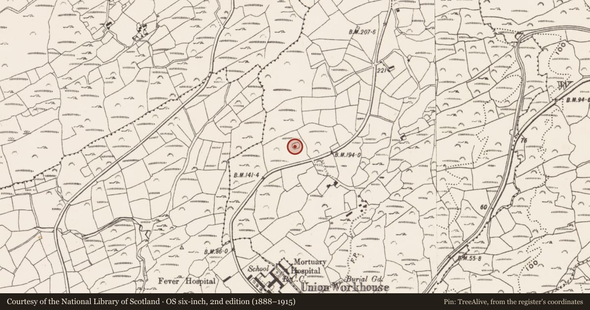 Ordnance Survey six-inch map, 2nd edition (1888–1915) covering the location of Enclosure, Rathcool, County Cork, with a pin at the register's coordinates