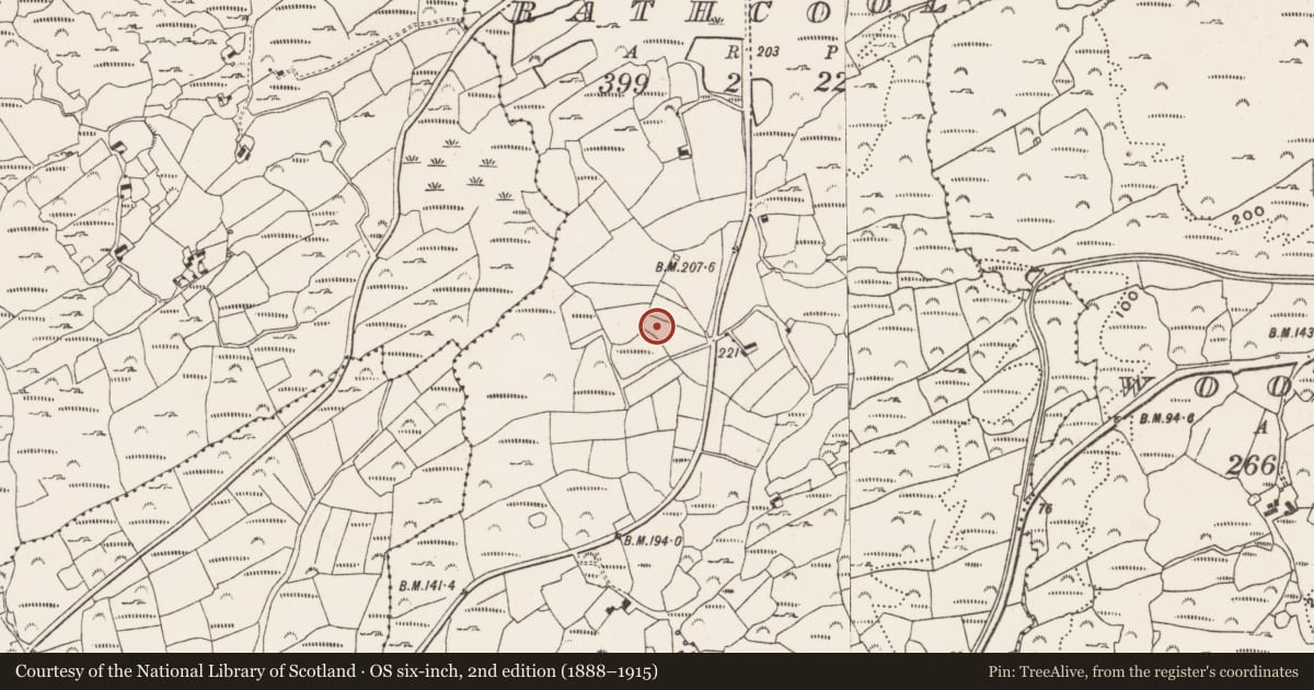 Ordnance Survey six-inch map, 2nd edition (1888–1915) covering the location of Standing stone - pair, Rathcool, County Cork, with a pin at the register's coordinates