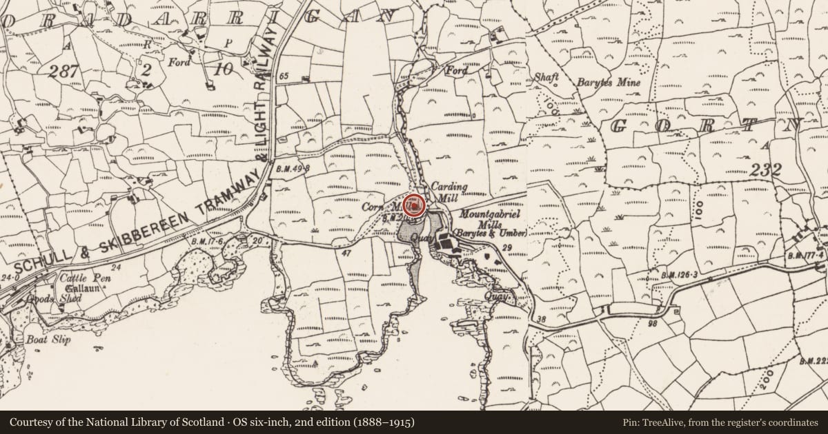 Ordnance Survey six-inch map, 2nd edition (1888–1915) covering the location of Milling complex, Cooradarrigan, County Cork, with a pin at the register's coordinates