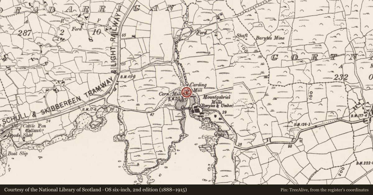 Ordnance Survey six-inch map, 2nd edition (1888–1915) covering the location of Mill - corn, Cooradarrigan, County Cork, with a pin at the register's coordinates