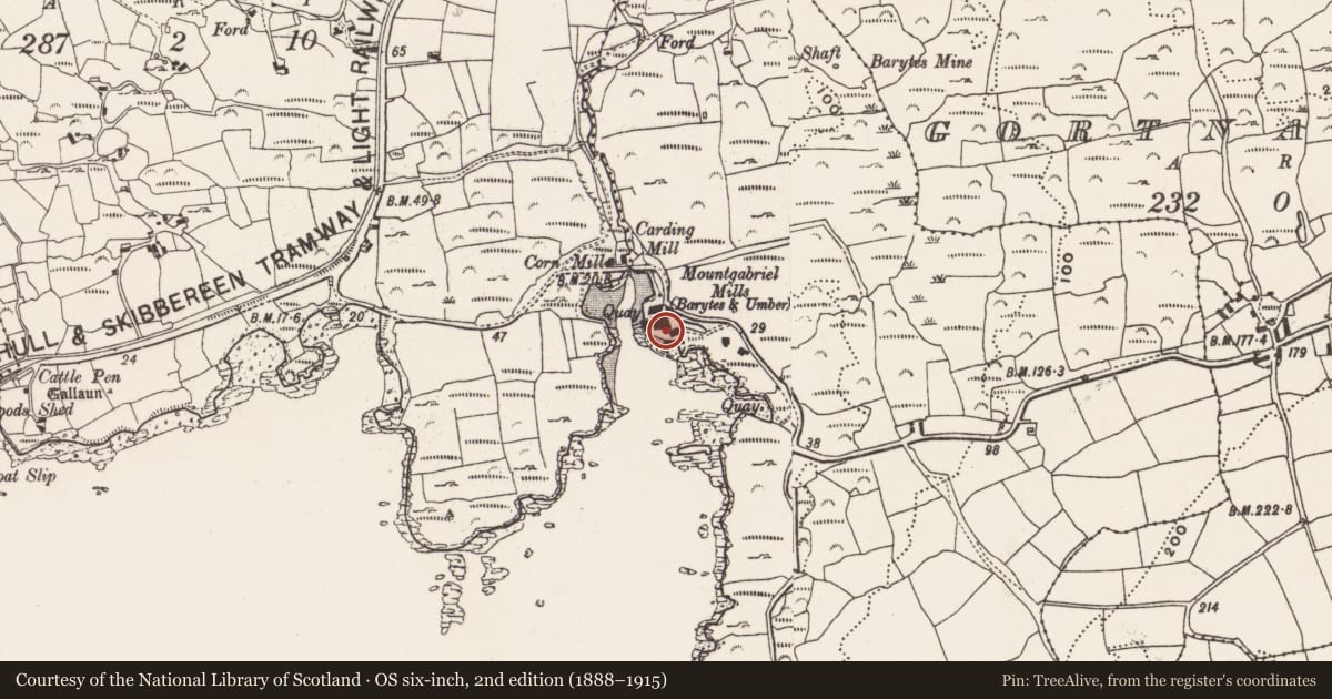 Ordnance Survey six-inch map, 2nd edition (1888–1915) covering the location of Mine - barytes, Coosheen, County Cork, with a pin at the register's coordinates