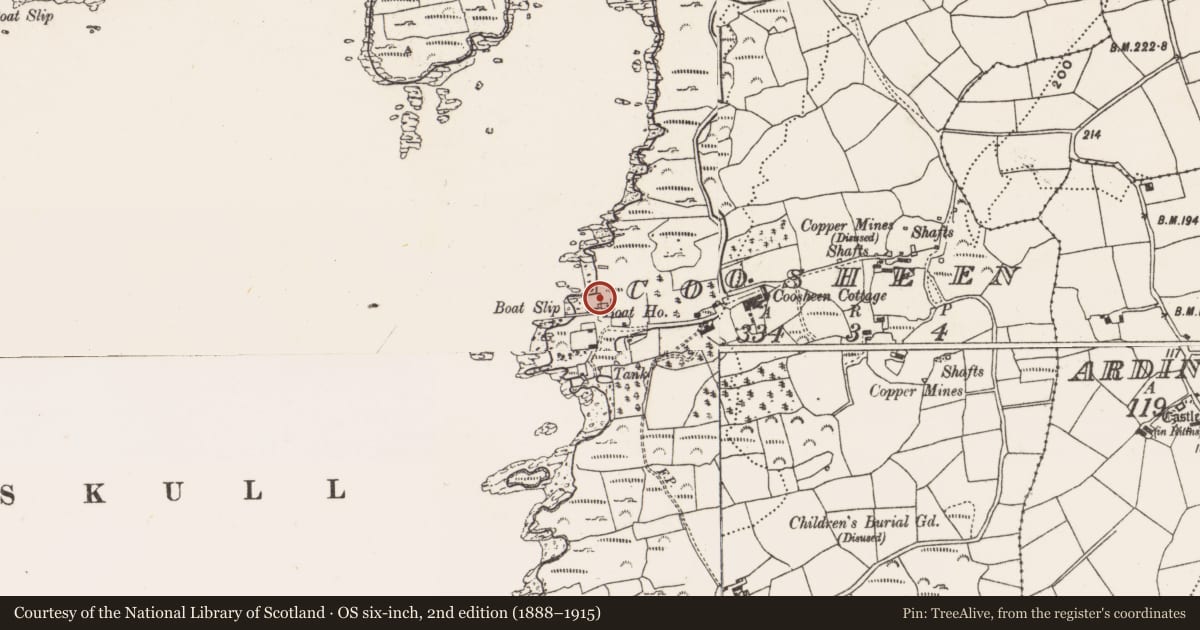 Ordnance Survey six-inch map, 2nd edition (1888–1915) covering the location of Mining complex, Coosheen, County Cork, with a pin at the register's coordinates