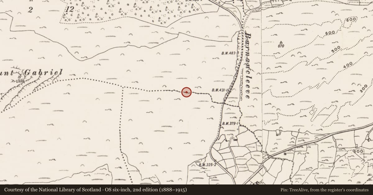 Ordnance Survey six-inch map, 2nd edition (1888–1915) covering the location of Mine - copper, Mountgabriel, County Cork, with a pin at the register's coordinates