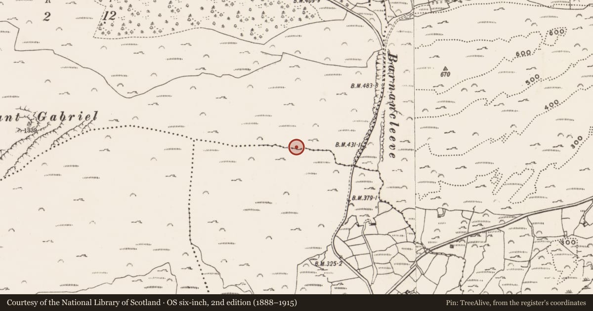 Ordnance Survey six-inch map, 2nd edition (1888–1915) covering the location of Mine - copper, Mountgabriel, County Cork, with a pin at the register's coordinates