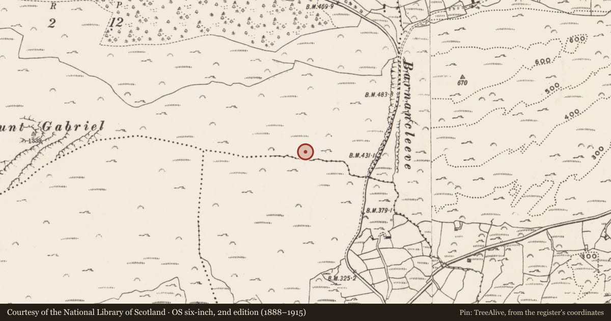 Ordnance Survey six-inch map, 2nd edition (1888–1915) covering the location of Mine - copper, Mountgabriel, County Cork, with a pin at the register's coordinates