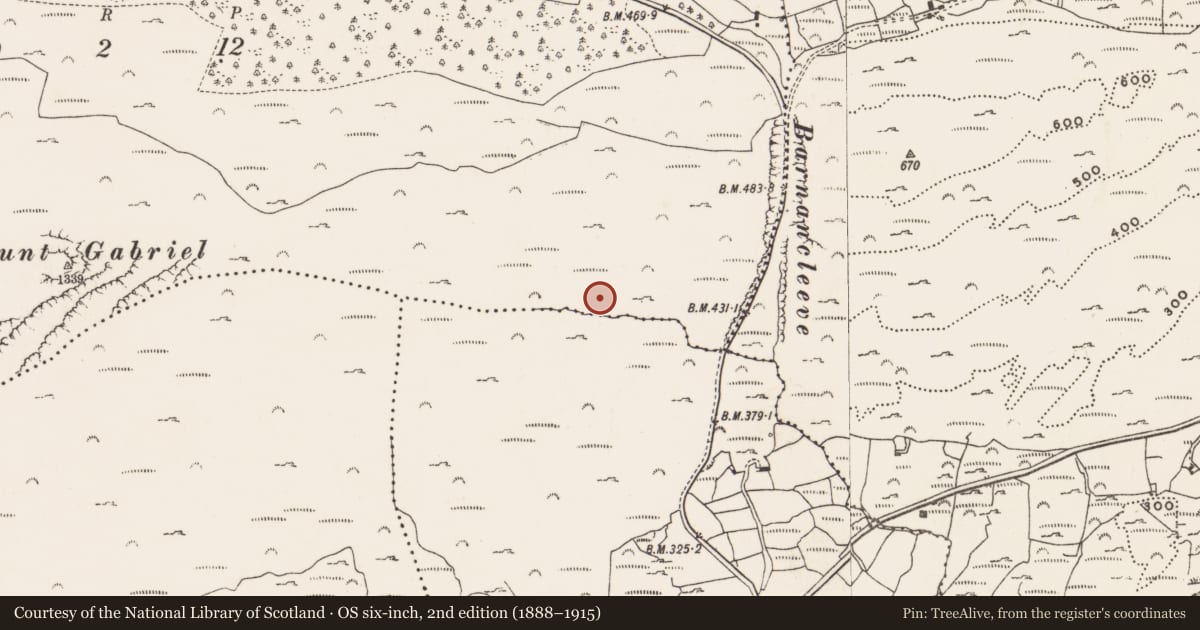 Ordnance Survey six-inch map, 2nd edition (1888–1915) covering the location of Mine - copper, Mountgabriel, County Cork, with a pin at the register's coordinates
