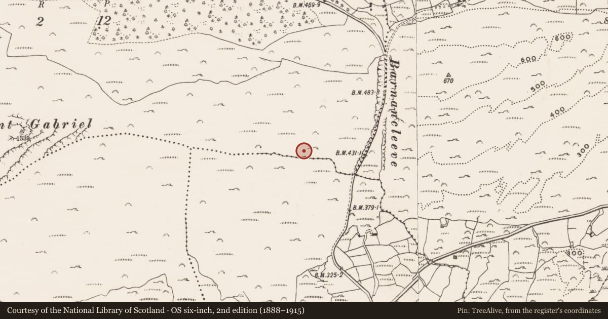 Ordnance Survey six-inch map, 2nd edition (1888–1915) covering the location of Mine - copper, Mountgabriel, County Cork, with a pin at the register's coordinates