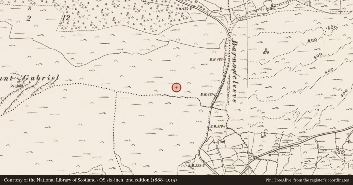 Ordnance Survey six-inch map, 2nd edition (1888–1915) covering the location of Mine - copper, Mountgabriel, County Cork, with a pin at the register's coordinates
