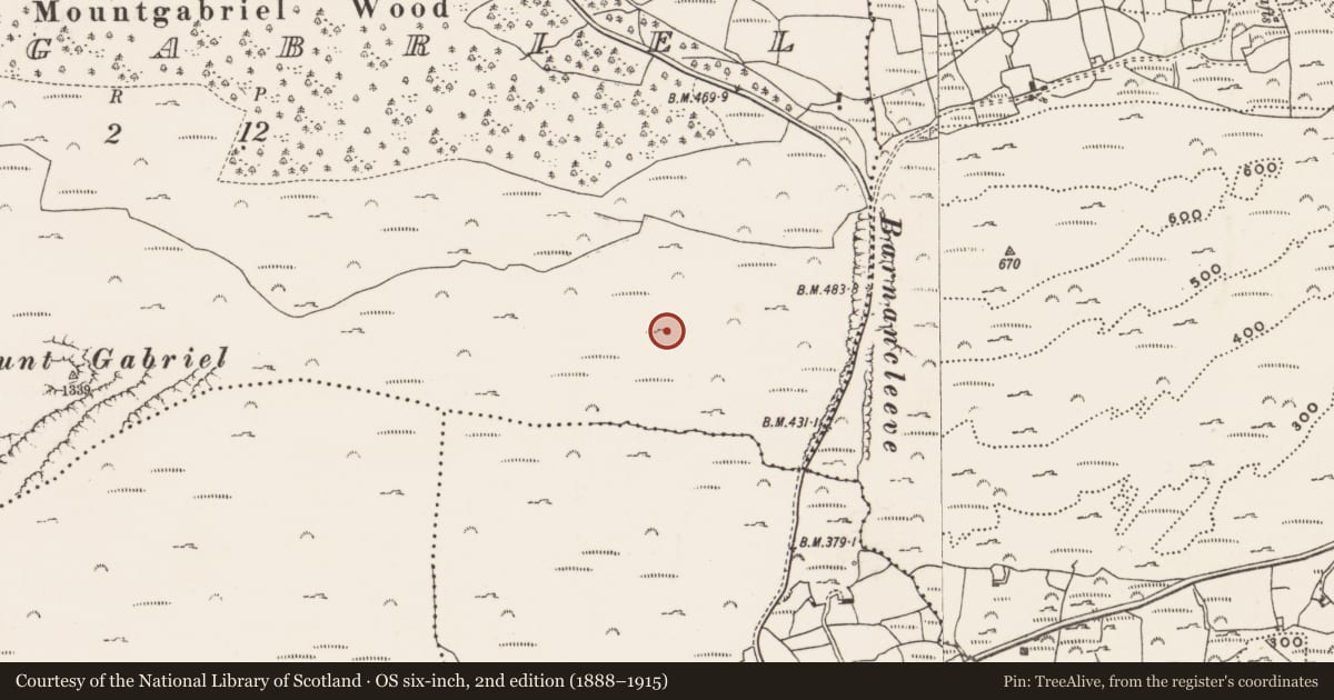 Ordnance Survey six-inch map, 2nd edition (1888–1915) covering the location of Mine - copper, Mountgabriel, County Cork, with a pin at the register's coordinates