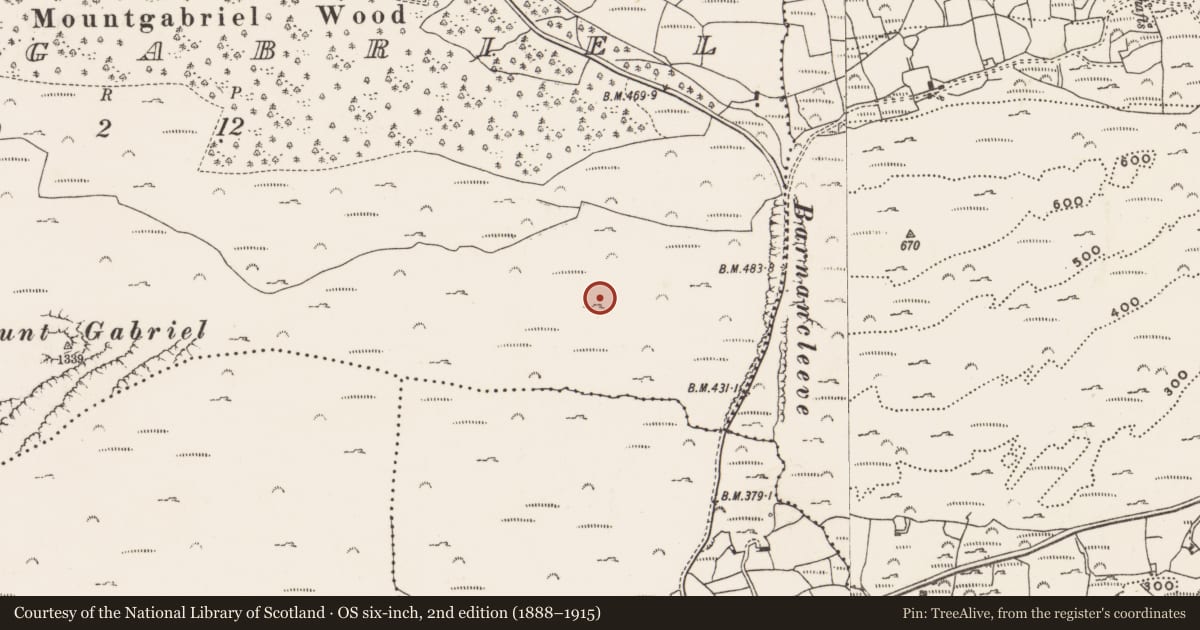 Ordnance Survey six-inch map, 2nd edition (1888–1915) covering the location of Mine - copper, Mountgabriel, County Cork, with a pin at the register's coordinates