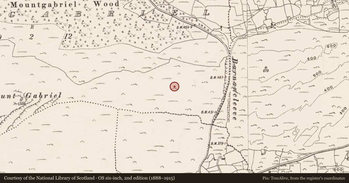 Ordnance Survey six-inch map, 2nd edition (1888–1915) covering the location of Mine - copper, Mountgabriel, County Cork, with a pin at the register's coordinates