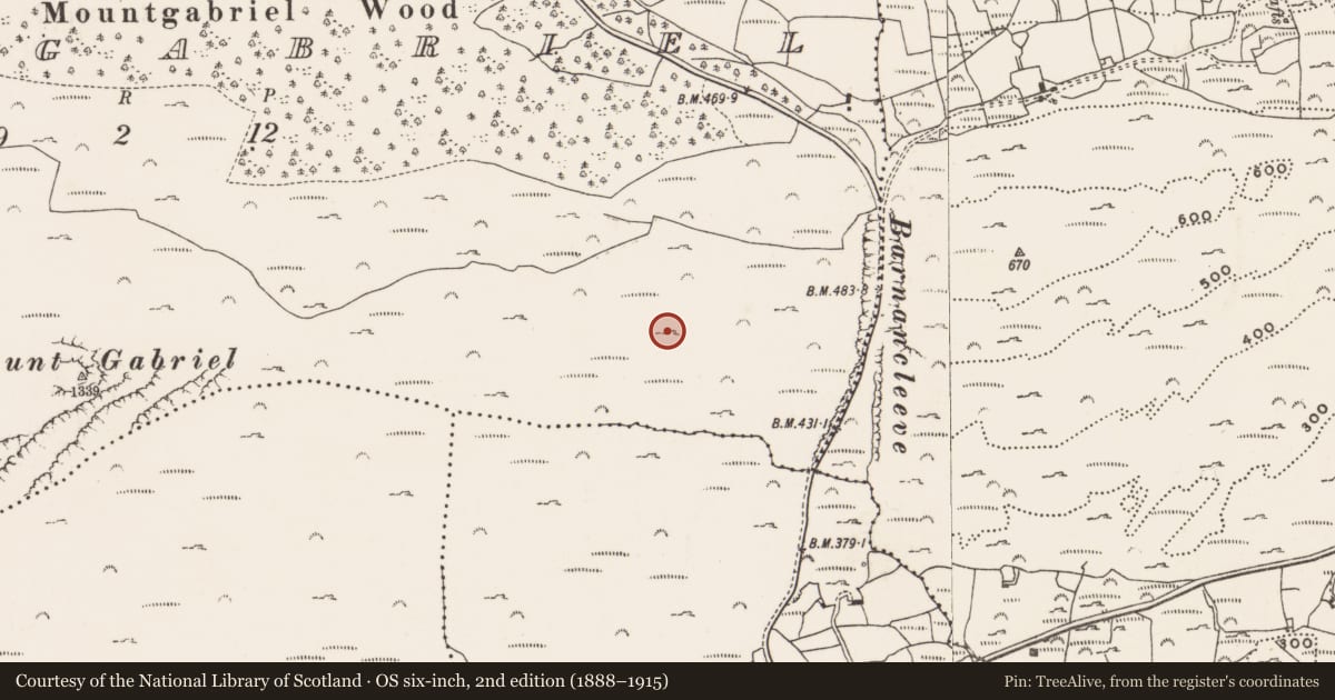 Ordnance Survey six-inch map, 2nd edition (1888–1915) covering the location of Mine - copper, Mountgabriel, County Cork, with a pin at the register's coordinates
