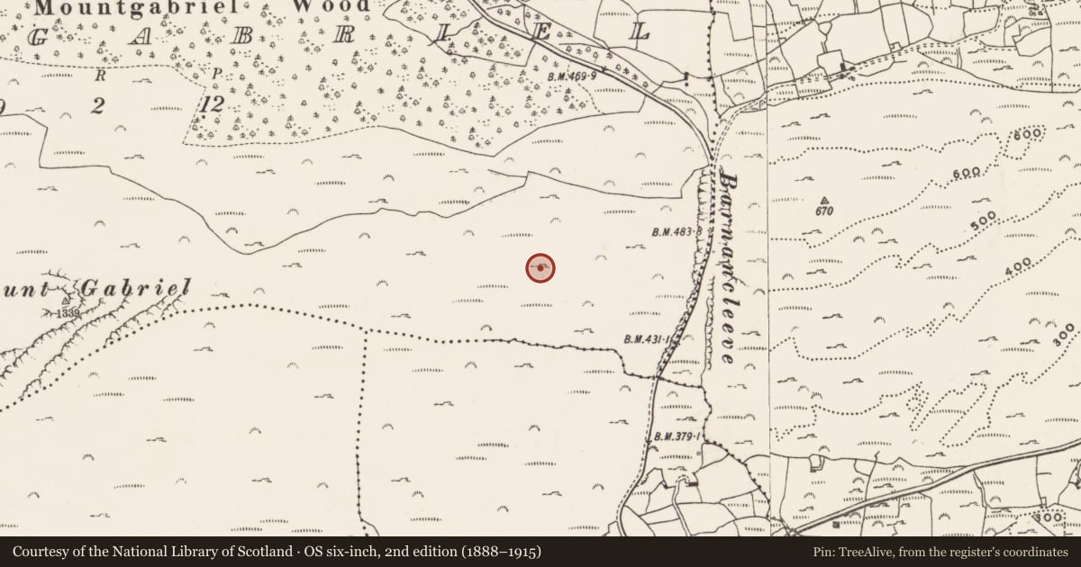 Ordnance Survey six-inch map, 2nd edition (1888–1915) covering the location of Mine - copper, Mountgabriel, County Cork, with a pin at the register's coordinates