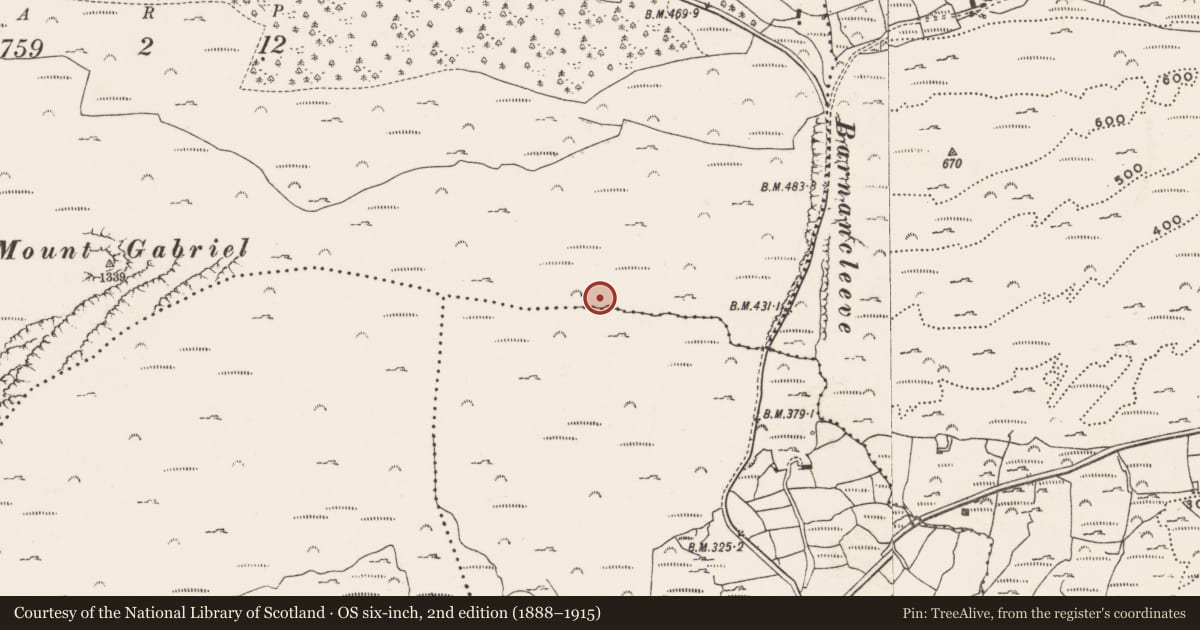 Ordnance Survey six-inch map, 2nd edition (1888–1915) covering the location of Mine - copper, Mountgabriel, County Cork, with a pin at the register's coordinates