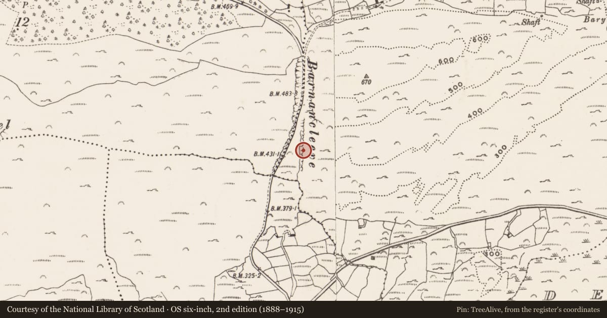 Ordnance Survey six-inch map, 2nd edition (1888–1915) covering the location of Mine - copper, Letter (Carbery West (W.D) By., Skull Par.), County Cork, with a pin at the register's coordinates