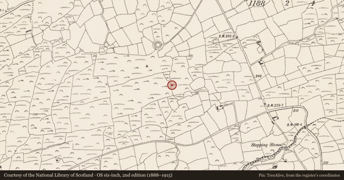 Ordnance Survey six-inch map, 2nd edition (1888–1915) covering the location of Fulacht fia, Ratooragh, County Cork, with a pin at the register's coordinates